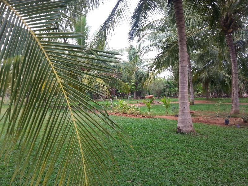 Serenity Lake Resort Yala Tissamaharama Exterior foto