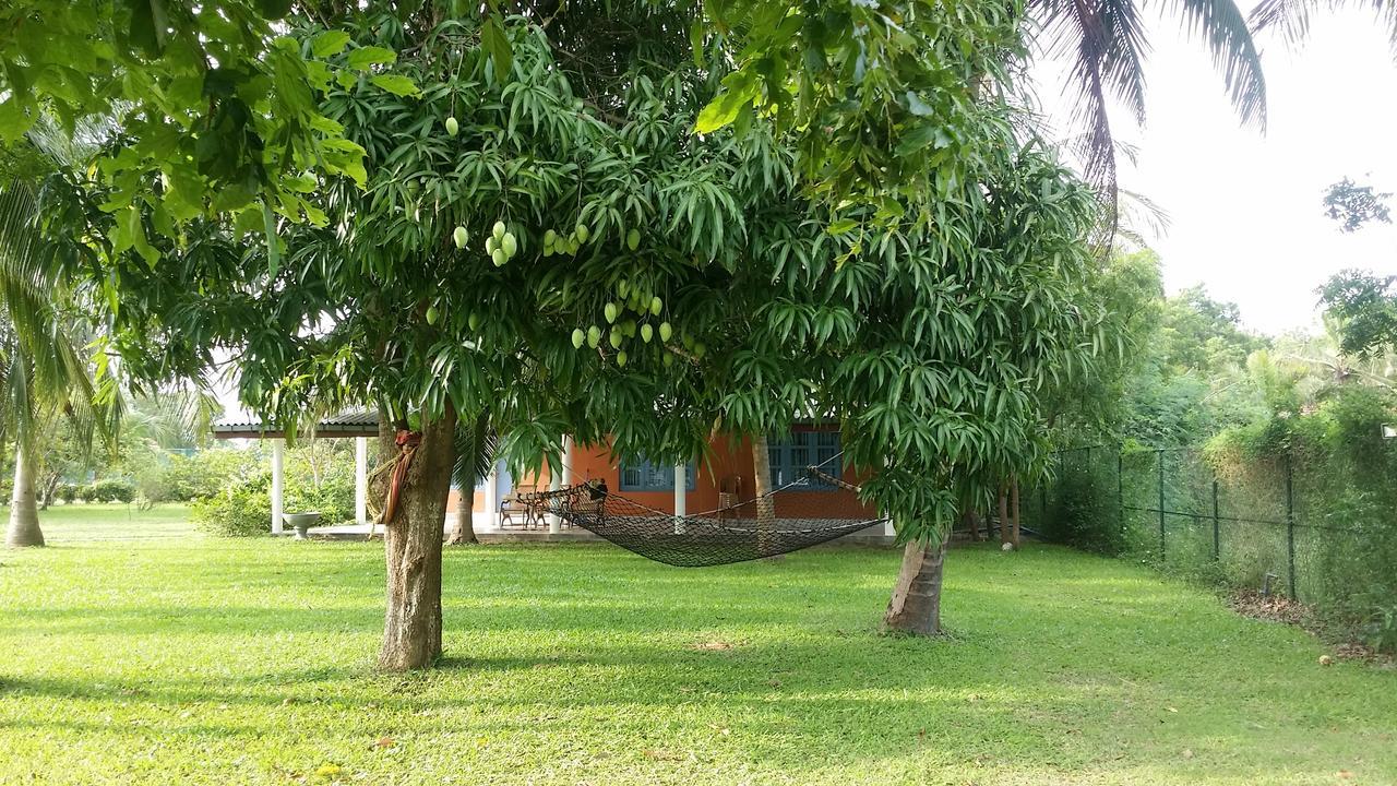 Serenity Lake Resort Yala Tissamaharama Exterior foto